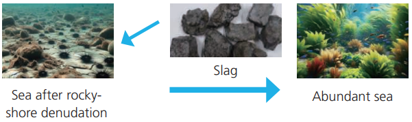 藻場造成に寄与する製鋼スラグを活用した新規製品の開発
