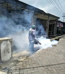 Mosquito eradication (Indonesia)