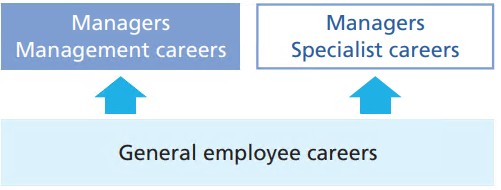 マネジメントキャリアとスペシャリストキャリアの複線化