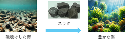 藻場造成に寄与する製鋼スラグを活用した新規製品の開発